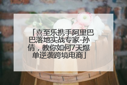 喜至乐携手阿里巴巴落地实战专家-孙倩，教你如何7天爆单逆袭跨境电商