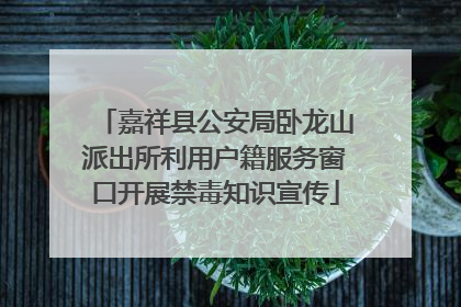 嘉祥县公安局卧龙山派出所利用户籍服务窗口开展禁毒知识宣传
