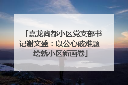 嘉龙尚都小区党支部书记谢文盛：以公心破难题 绘就小区新画卷