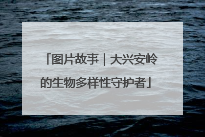 图片故事｜大兴安岭的生物多样性守护者