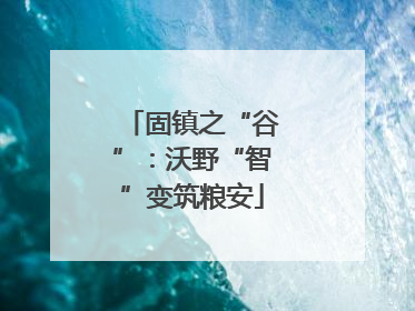 固镇之“谷”：沃野“智”变筑粮安