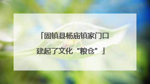 固镇县杨庙镇家门口建起了文化“粮仓”