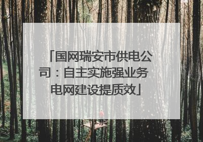 国网瑞安市供电公司：自主实施强业务 电网建设提质效