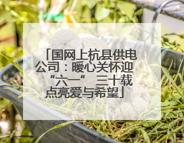 国网上杭县供电公司：暖心关怀迎“六一” 三十载点亮爱与希望