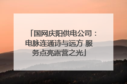 国网庆阳供电公司：电脉连通诗与远方 服务点亮露营之光