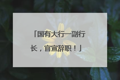国有大行一副行长，官宣辞职！