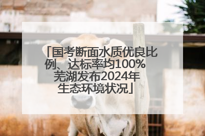 国考断面水质优良比例、达标率均100% 芜湖发布2024年生态环境状况