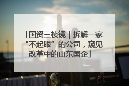 国资三棱镜｜拆解一家“不起眼”的公司，窥见改革中的山东国企
