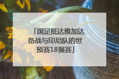 国足抵达雅加达备战与印尼队的世预赛18强赛