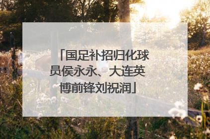 国足补招归化球员侯永永、大连英博前锋刘祝润