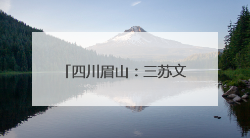 四川眉山：三苏文化从街巷走向世界