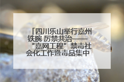 四川乐山举行嘉州铁腕 厉禁共治——“嘉网工程”禁毒社会化工作暨毒品集中销毁启动仪式