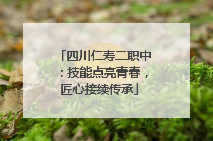 四川仁寿二职中：技能点亮青春，匠心接续传承
