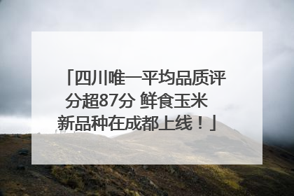 四川唯一平均品质评分超87分 鲜食玉米新品种在成都上线！