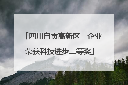 四川自贡高新区一企业荣获科技进步二等奖
