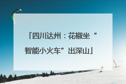 四川达州：花椒坐“智能小火车”出深山