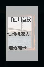 四川首款情感机器人即将面世