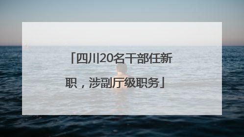 四川20名干部任新职，涉副厅级职务
