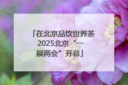 在北京品饮世界茶 2025北京“一展两会”开幕