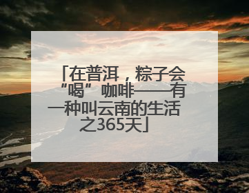 在普洱，粽子会“喝”咖啡——有一种叫云南的生活之365天