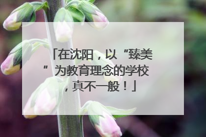 在沈阳，以“臻美”为教育理念的学校，真不一般！