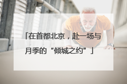 在首都北京，赴一场与月季的“倾城之约”