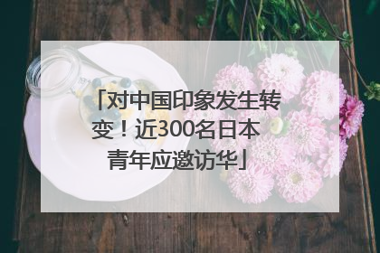 对中国印象发生转变！近300名日本青年应邀访华