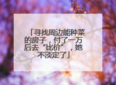 寻找周边能种菜的房子，付了一万后去“比价”，她不淡定了