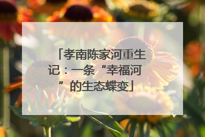 孝南陈家河重生记：一条“幸福河”的生态蝶变