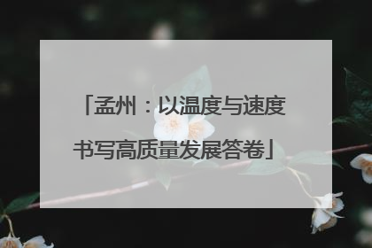 孟州：以温度与速度书写高质量发展答卷