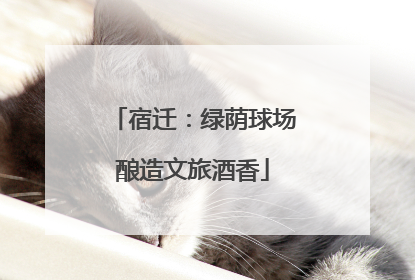 宿迁：绿荫球场酿造文旅酒香