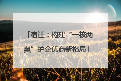 宿迁：构建“一核两翼”护企优商新格局