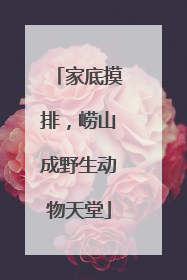 家底摸排，崂山成野生动物天堂