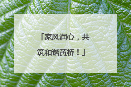 家风润心，共筑和谐黄桥！