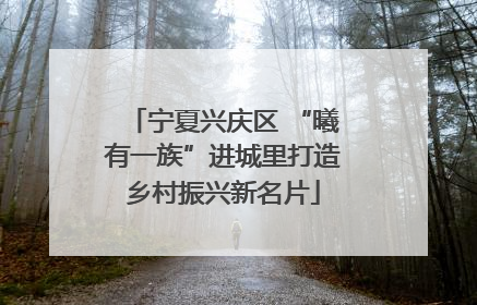 宁夏兴庆区 “曦有一族”进城里打造乡村振兴新名片