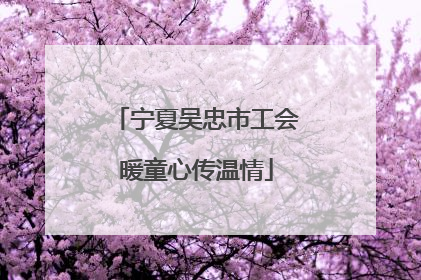 宁夏吴忠市工会暖童心传温情