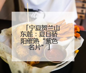宁夏贺兰山东麓：夏日骄阳催熟“紫色名片”