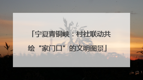 宁夏青铜峡：村社联动共绘“家门口”的文明图景