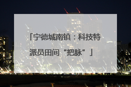 宁德城南镇：科技特派员田间“把脉”