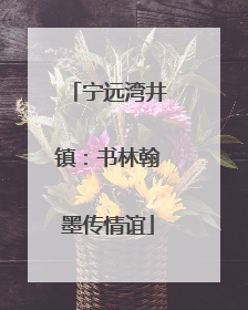 宁远湾井镇：书林翰墨传情谊