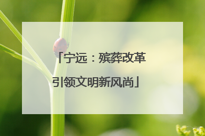 宁远：殡葬改革引领文明新风尚
