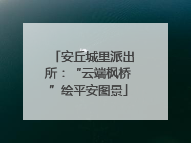 安丘城里派出所：“云端枫桥”绘平安图景