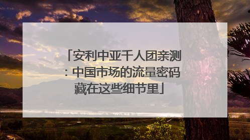 安利中亚千人团亲测：中国市场的流量密码 藏在这些细节里
