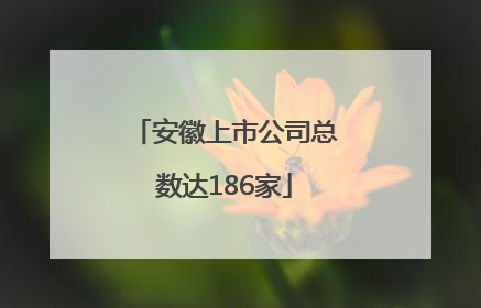 安徽上市公司总数达186家