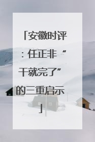 安徽时评：任正非“干就完了”的三重启示
