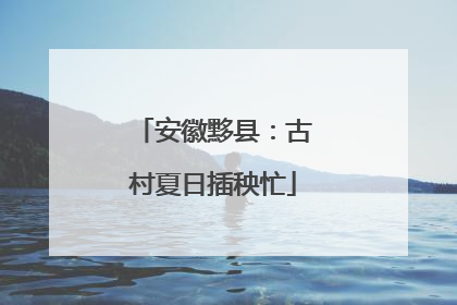 安徽黟县：古村夏日插秧忙