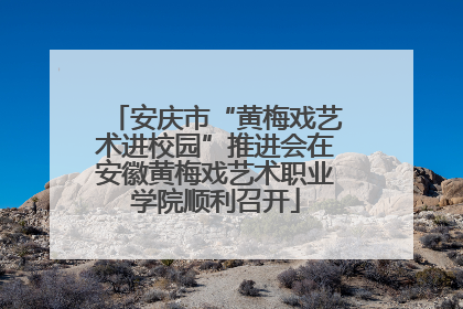 安庆市“黄梅戏艺术进校园”推进会在安徽黄梅戏艺术职业学院顺利召开