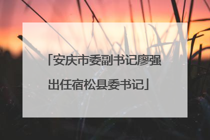 安庆市委副书记廖强出任宿松县委书记