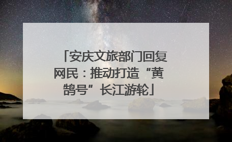 安庆文旅部门回复网民：推动打造“黄鹄号”长江游轮