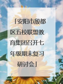 安阳市殷都区五校联盟教育集团召开七年级期末复习研讨会